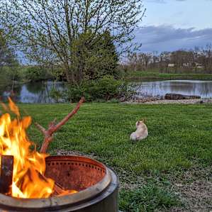 Liberty's Farmstay