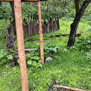 River Site Spider Camp