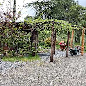 River Site Spider Camp