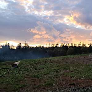 Forest Springs Camping & RV