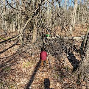 On a nature walk!
