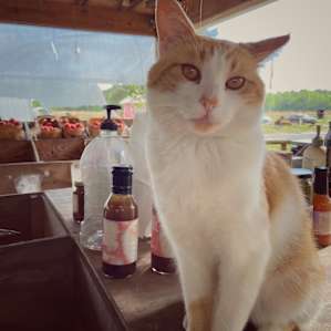 Livingston Creek Farmers Harvest