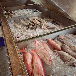 Livingston Creek Farmers Harvest