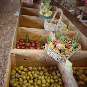 Livingston Creek Farmers Harvest