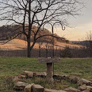 Rustic Cabin at Healing Hills