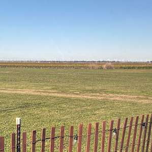 The Meadows of Isleton