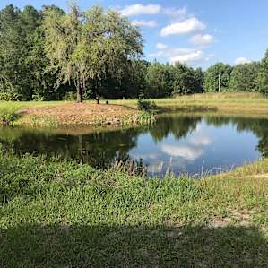 The amazing lake in the center of campz