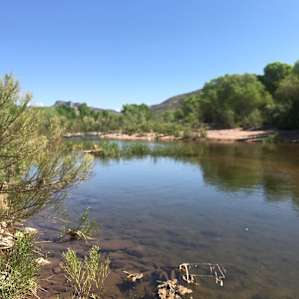 Tonto Creek Bed Camping