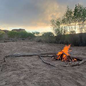 Wild 'n Free at Blue Valley