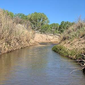 Wild 'n Free at Blue Valley