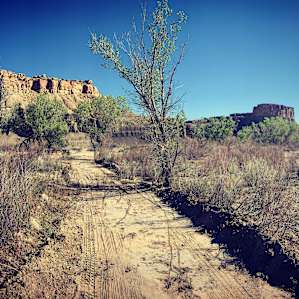 Wild 'n Free at Blue Valley