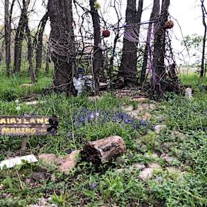 Ruffing-it Campsite