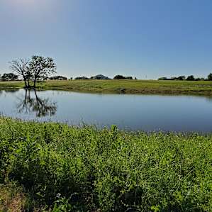 Fishing pond.