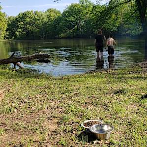 Johnny Park stocked pond