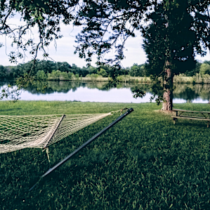 April 2020 at Wild Hope Farm