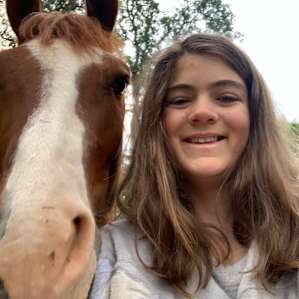 Hold your HORSES!