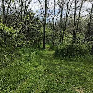 A Walk-in Campsite