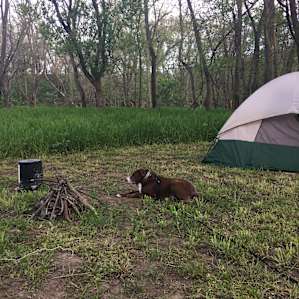 A Walk-in Campsite