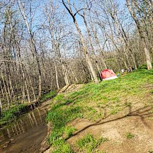 Camp Avery @ Clark Shack Acres