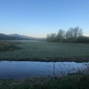 Lovely view of the river