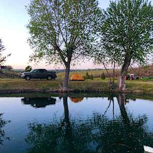 Vineyard Camping