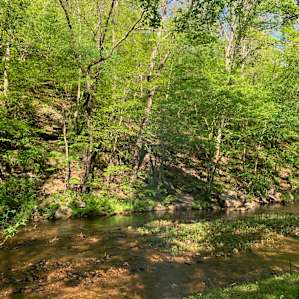 Camping by the Creek Site 1