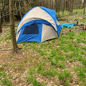 Camp