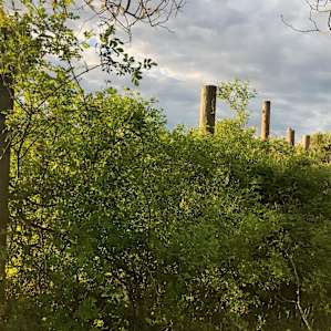 Eaters Acres Farm Camp