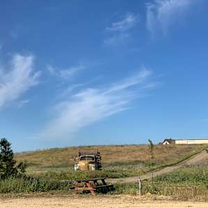 Organic Farm in Wine Country