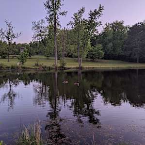 Camp Henning at Ellerbe Springs