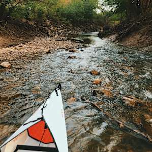 We went kayaking in nearby Hart Creek. Not the most ideal for kayaking right now, but still a fun adventure.