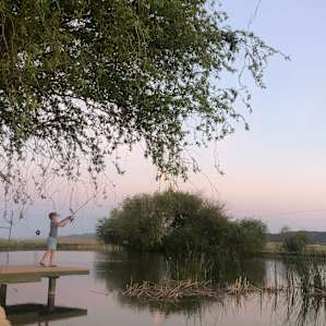 Camp Tule Elk Campsites