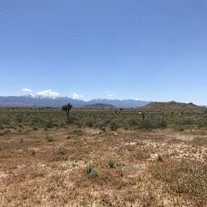 Camp Mirage