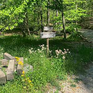 Tent Camping by the Creek