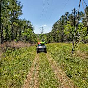 If it's been raining, you'll probably want 4 wheel drive. We definitely used ours!