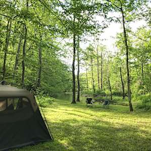 Site 6 facing creek