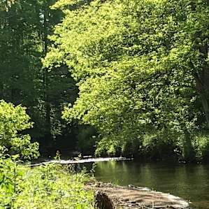 Camping by the Creek Site 6