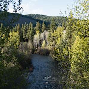 The river!