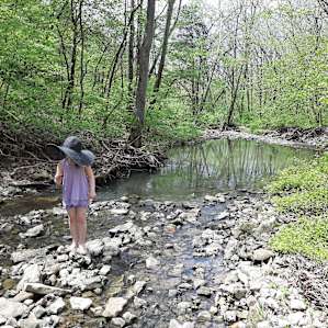 In the Forest by the Creek...