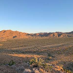 Joshua Tree South Private Campsite