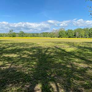 Looking out into the field from camp