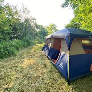our spot, facing the creekbed