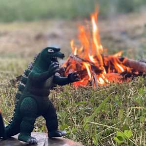 Godzilla travels everywhere we go, for silly photo ops.