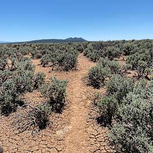 Trails to the peaks