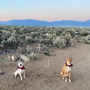 High Desert Vistas