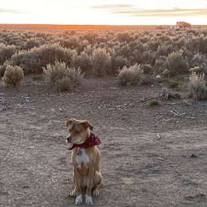 High Desert Vistas