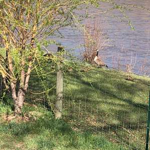 Riverside Rest for RVs