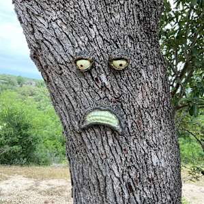 Tree dude!