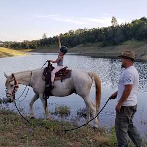 Hold your HORSES!