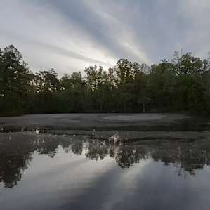 Dockside Bluff